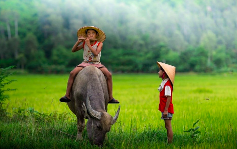 Chủ đề ca dao - dân ca về  tình yêu quê hương - đất nước.