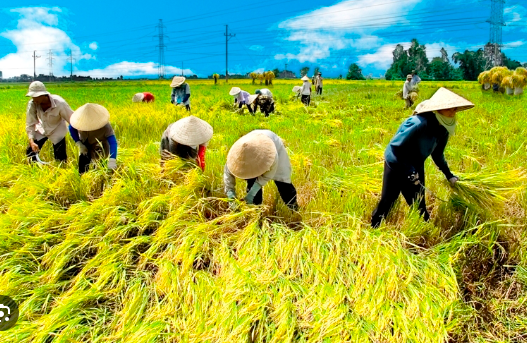 Ca dao - dân ca về chủ đề lao động sản xuất.