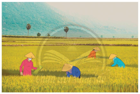 Tục ngữ về lao động sản xuất: